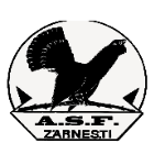 Olimpic Zarnesti 