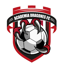 Academia Dragones