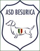 Besurica