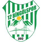 12 Bingolspor