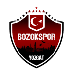Yozgat Bozokspor