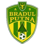 Bradul Putna