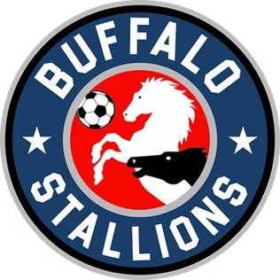 Buffalo Stalions
