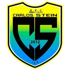 Carlos Stein 