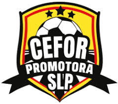 Cefor Promotora San Luis