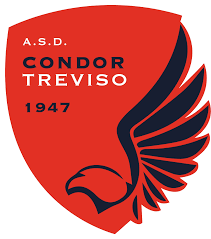 Condor Treviso