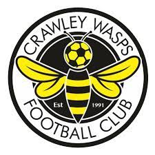 Crawley Wasps