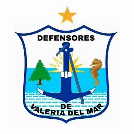 Defensores de Valeria del Mar
