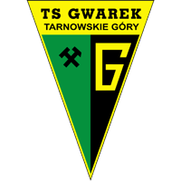 Gwarek T. Gory