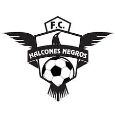 Halcones Negros