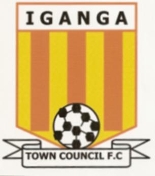 Iganga Town Council