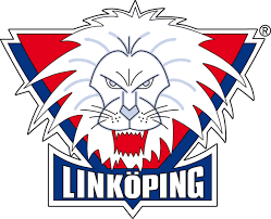 Linkoping City