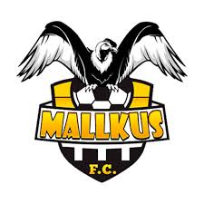 Mallkus 