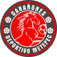 Deportivo Metepec