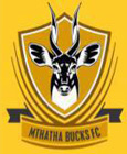 Mthatha Bucks