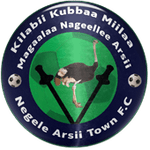 Negele Arsi 