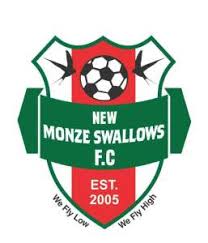 New Monze Swallows