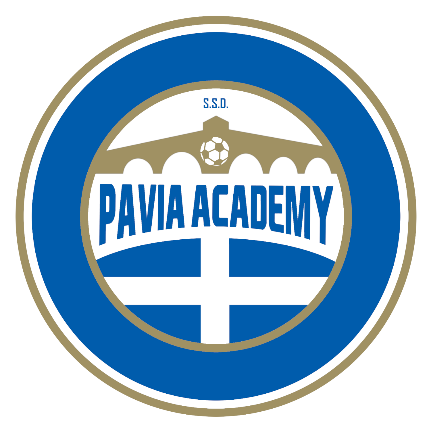 Academy Pavia