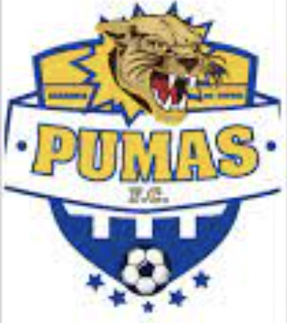 Pumas