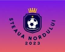 Steaua Nordului