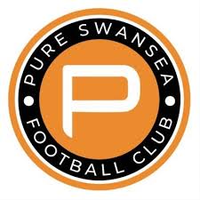 Pure Swansea