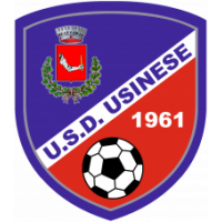 Usinese