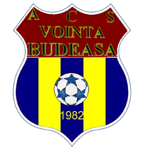 Vointa Budeasa